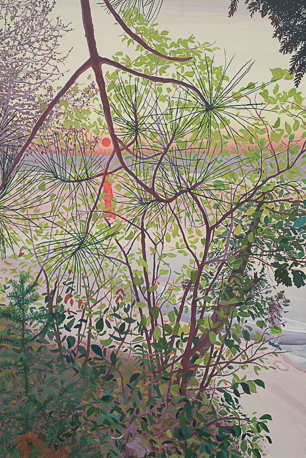 2023 Florence / Somerset