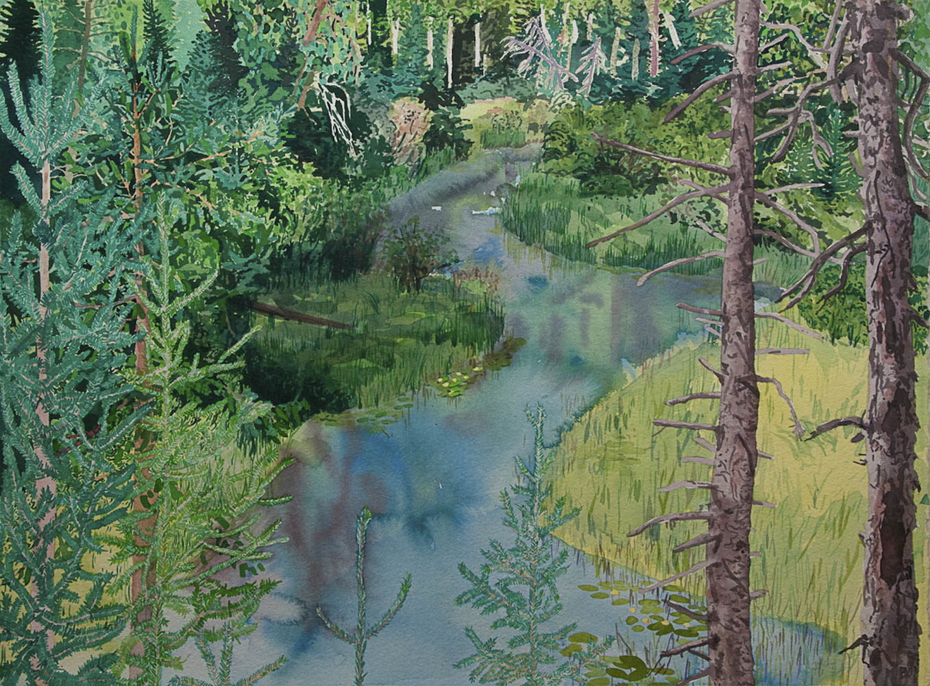 2023 Florence / Somerset