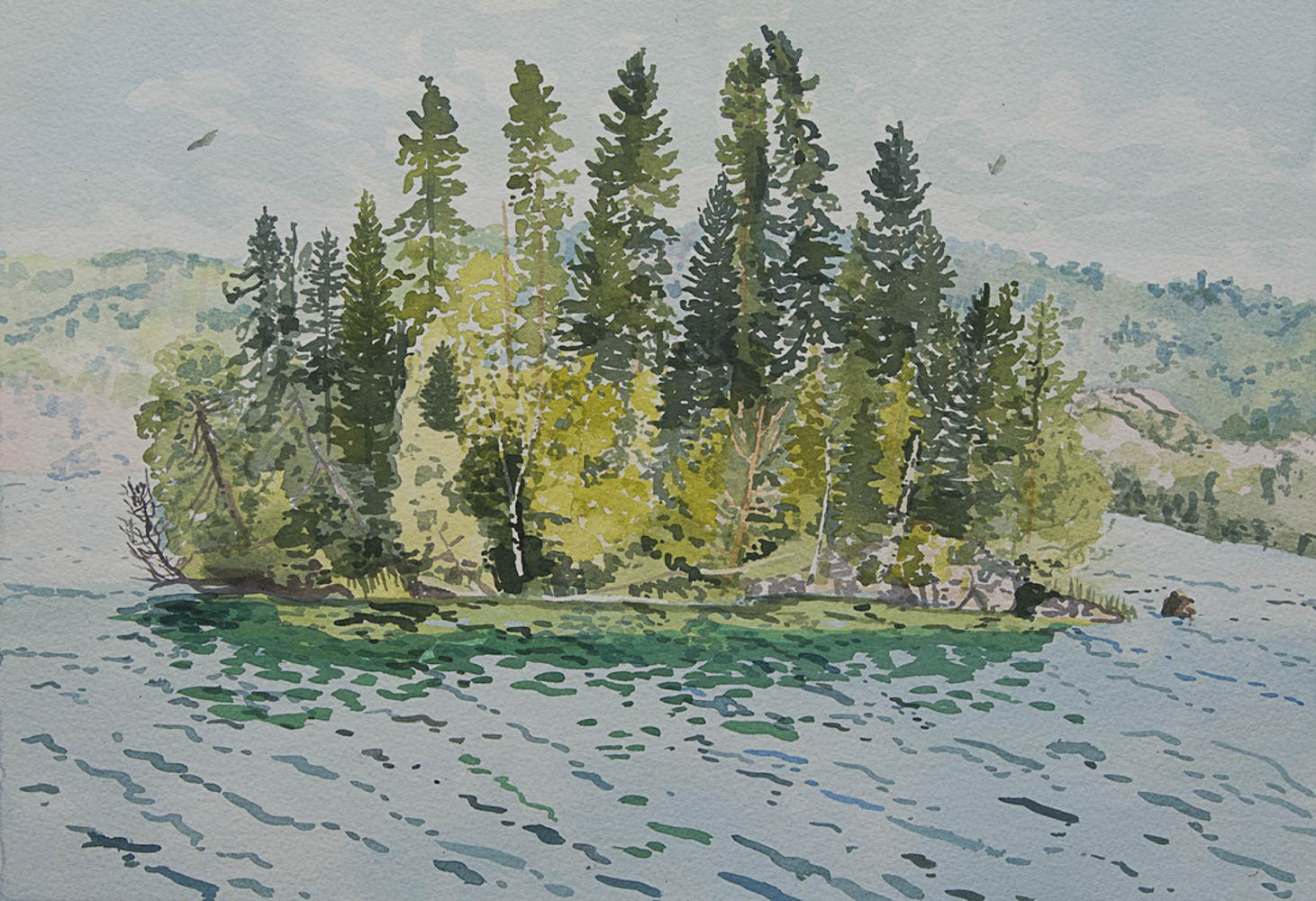 2023 Florence / Somerset