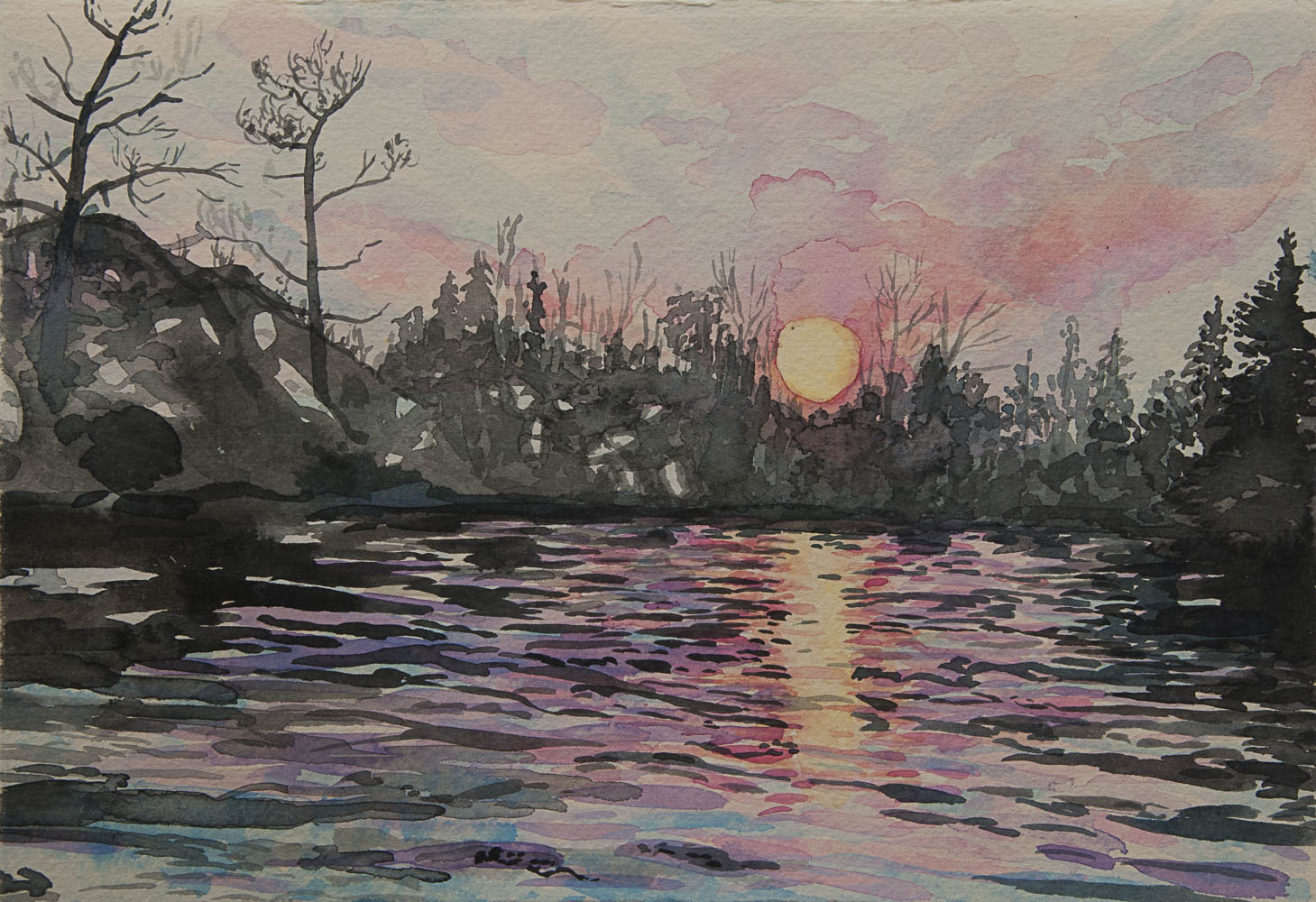 2023 Florence / Somerset