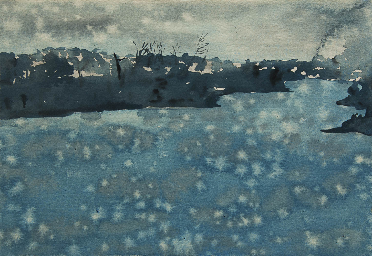 2023 Florence / Somerset