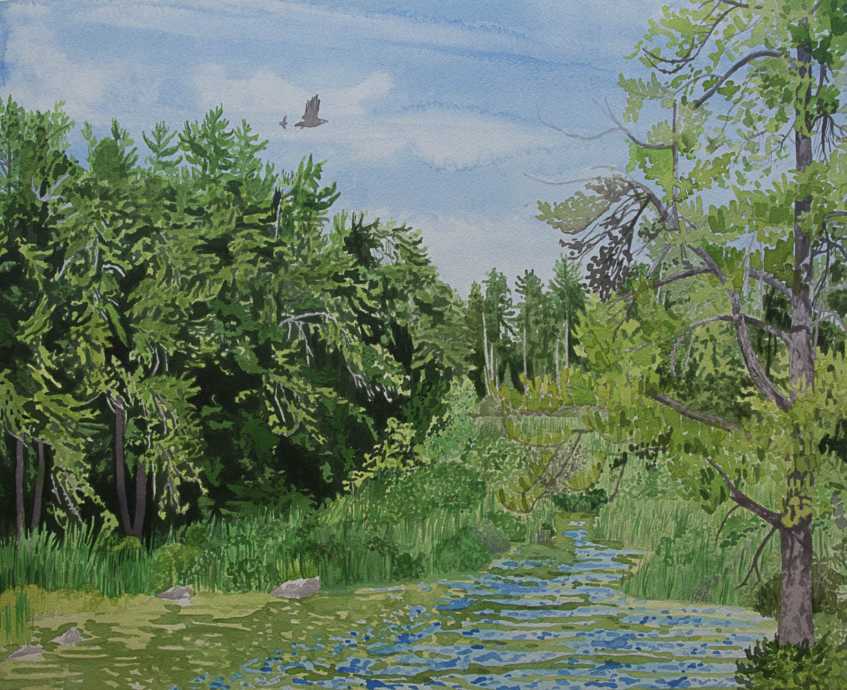 2023 Florence / Somerset