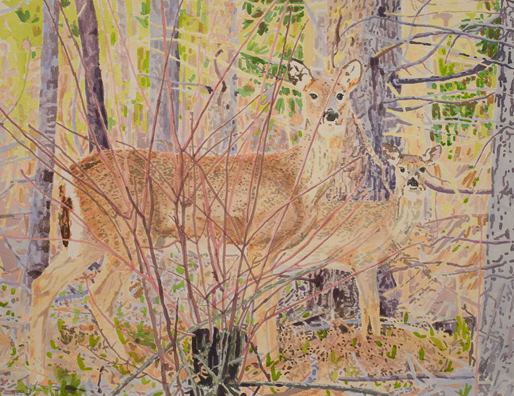 2023 Florence / Somerset